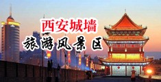 欧美少妇大胆不穿内裤露屄图片中国陕西-西安城墙旅游风景区